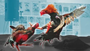 Bí Quyết Chinh Phục Đá Gà Sabong Tại BJ88 Đỉnh Cao Cá Cược