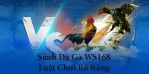 Bí Quyết Thắng Lớn Đá Gà WS168 Tại BJ88 Giải Trí Đỉnh Cao