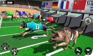 Bí Quyết Thắng Đậm Game Nhanh Đua Chó Tại BJ88 Với Chiến Thuật Đỉnh Cao