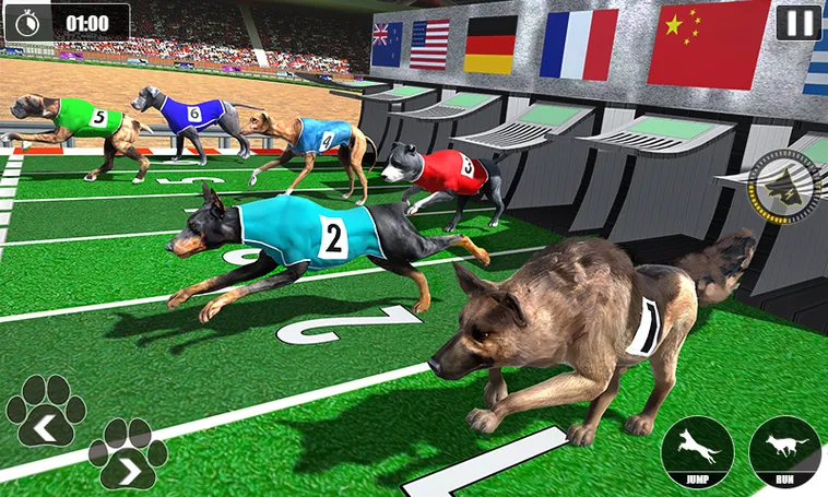 Bí Quyết Thắng Đậm Game Nhanh Đua Chó Tại BJ88 Với Chiến Thuật Đỉnh Cao
