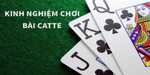 Bí Kíp Thành Thạo Cách Chơi Sắc Tê Nhà Cái BJ88 Để Thắng Lớn