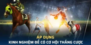 Khám Phá Cá Cược Thể Thao Ảo BJ88 Thắng Lớn Nhanh Chóng